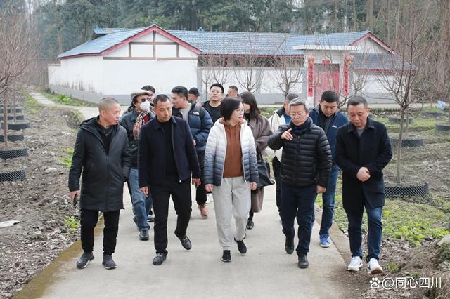 民建成都市乡村振兴工作委员会主任刘卫兵一行调研“稻田樱花”项目 助推农旅深度融合