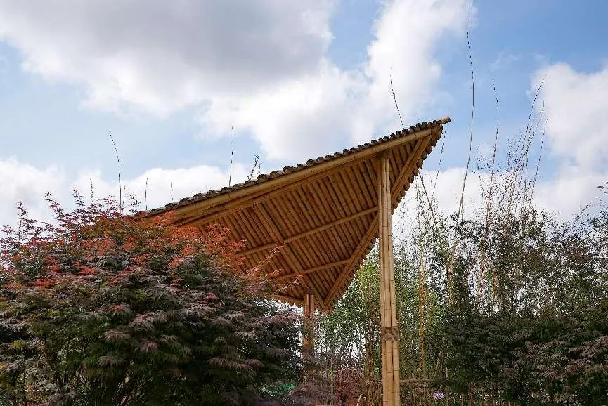 和漂亮老师做爰4