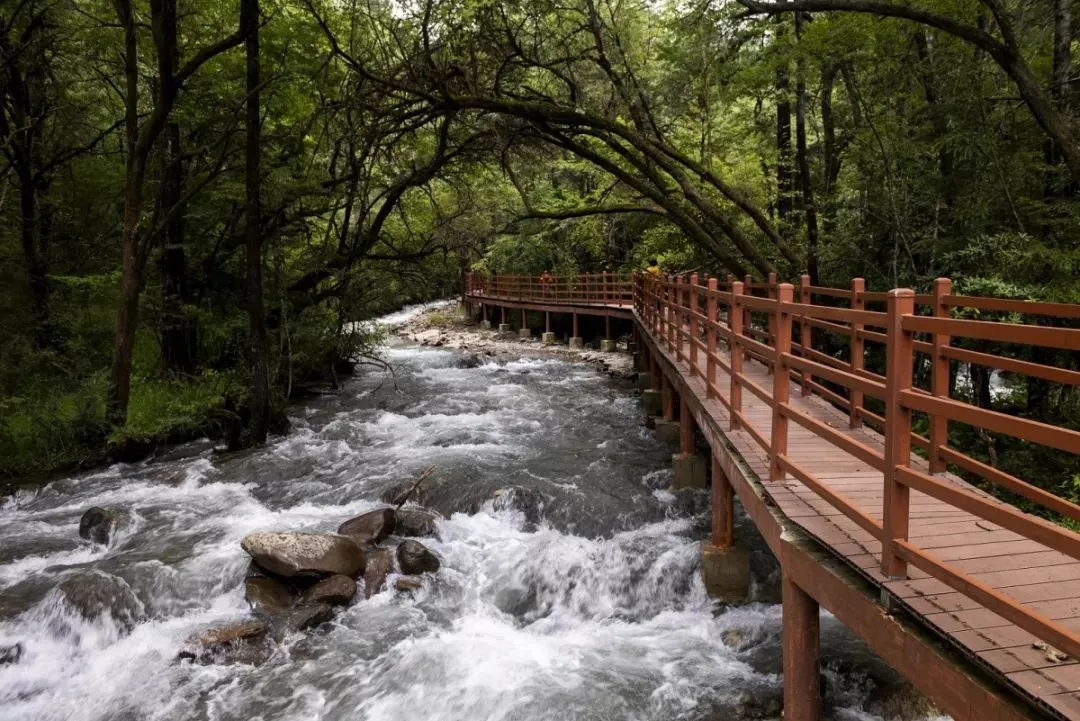 和漂亮老师做爰4