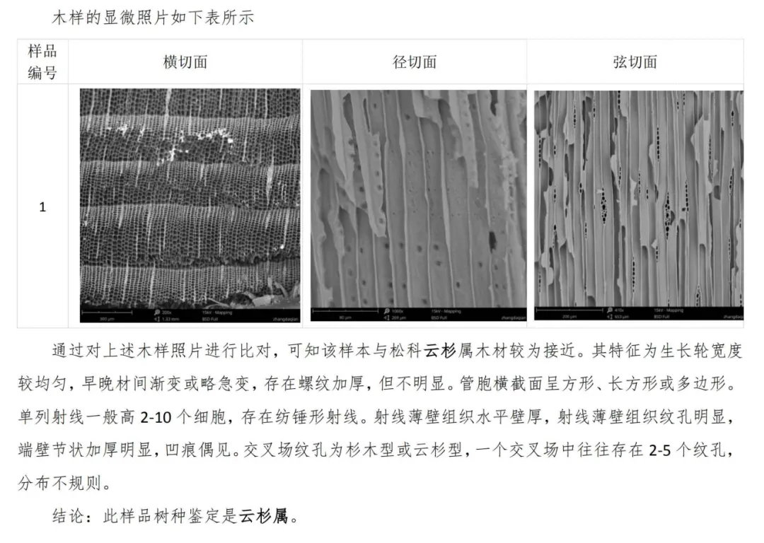 和漂亮老师做爰4