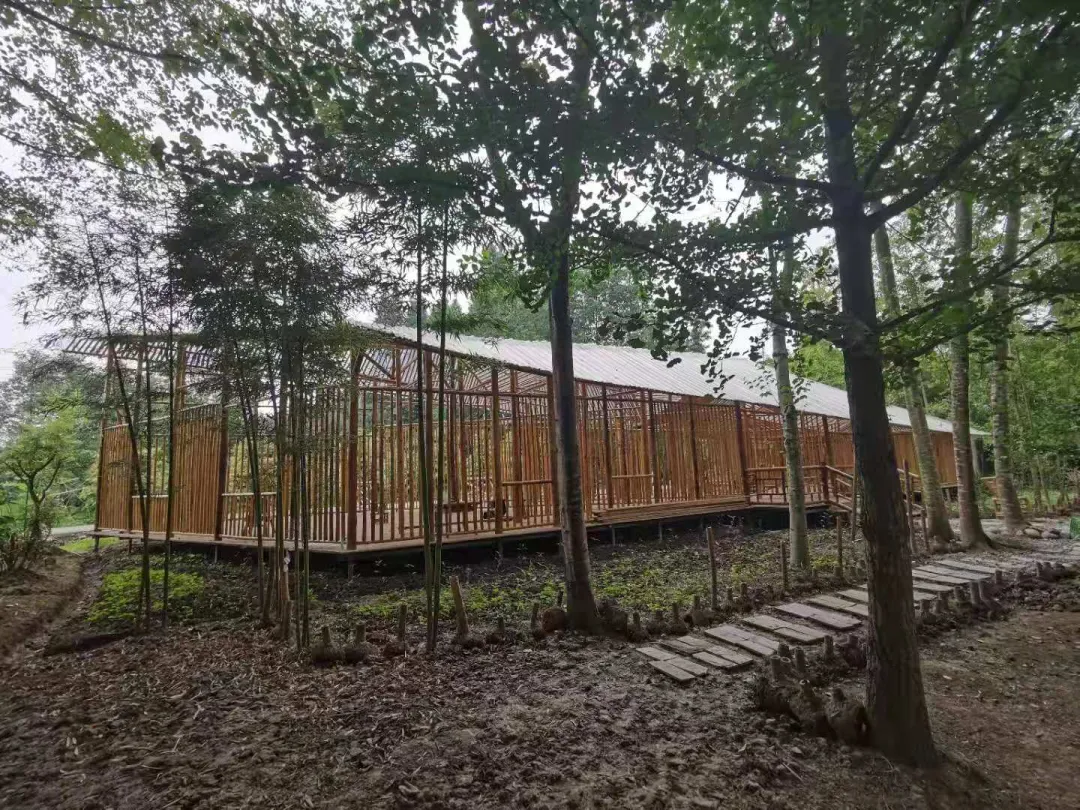 和漂亮老师做爰4