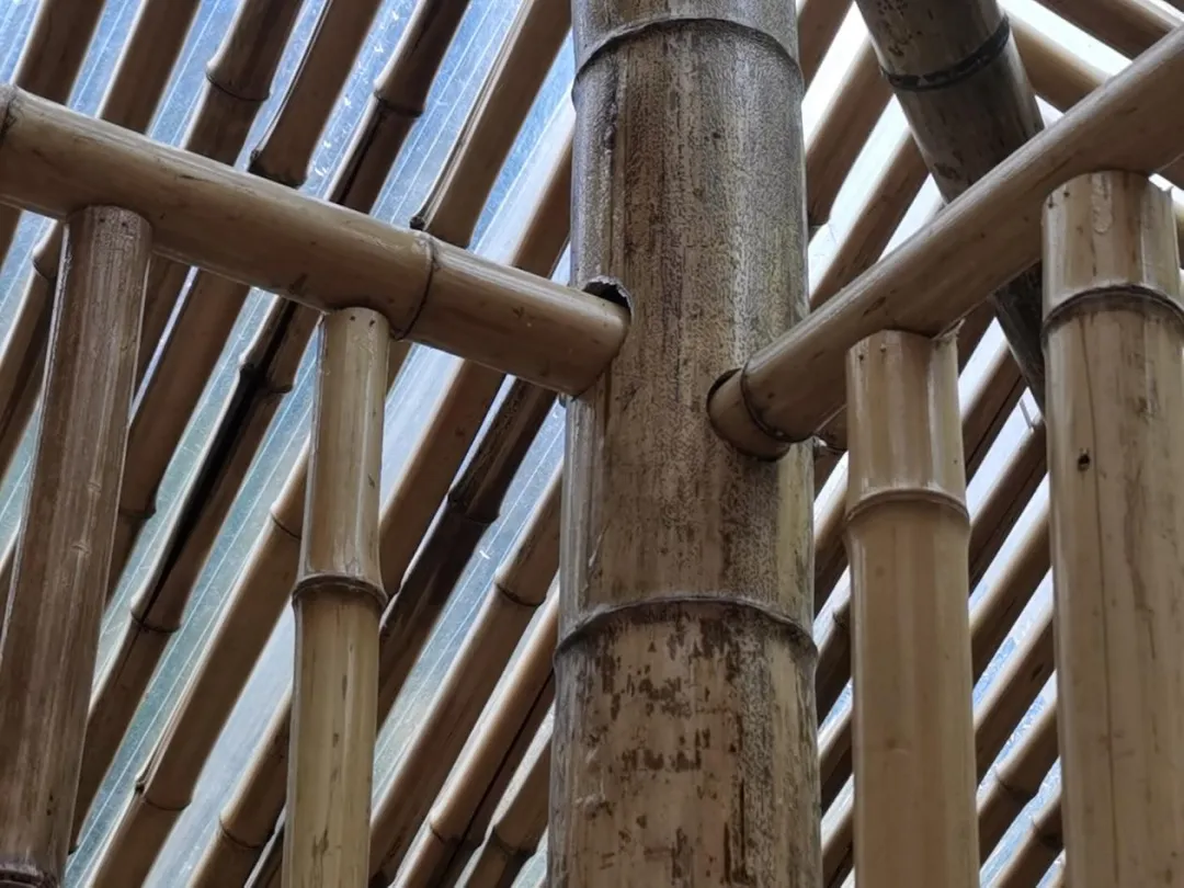 和漂亮老师做爰4