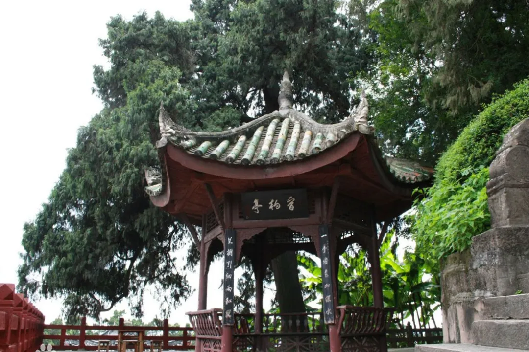 和漂亮老师做爰4