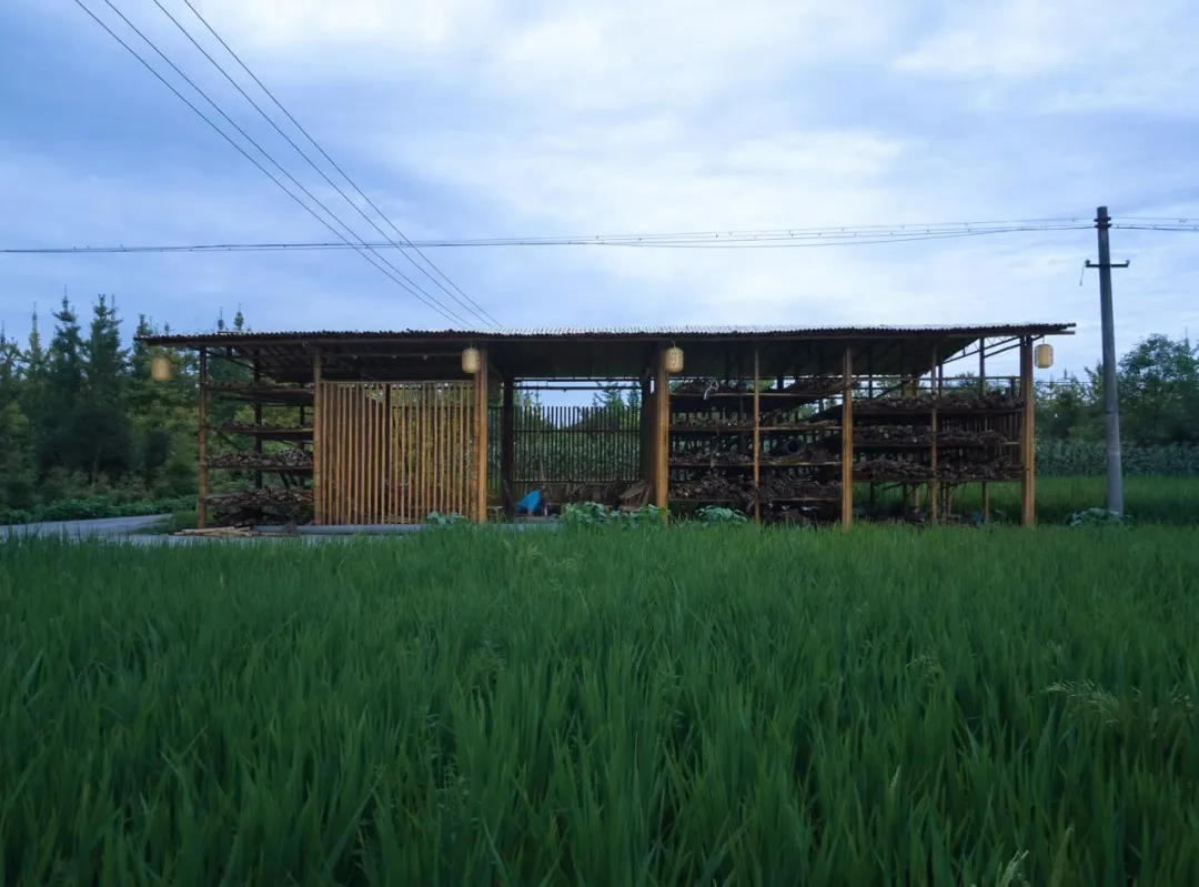 和漂亮老师做爰4