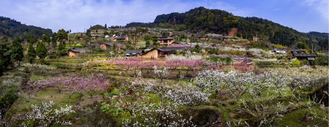 和漂亮老师做爰4