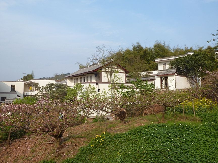 和漂亮老师做爰4