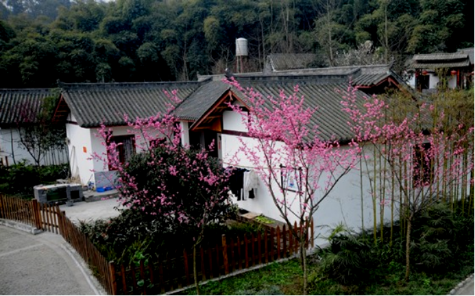 和漂亮老师做爰4