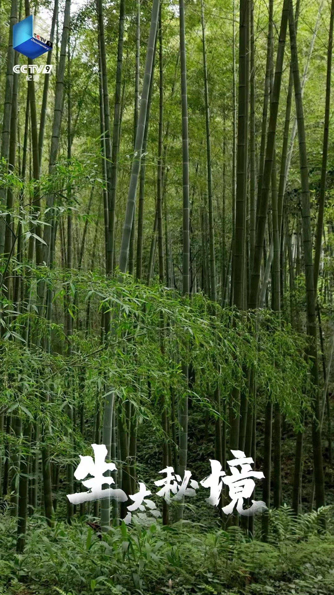 和漂亮老师做爰4