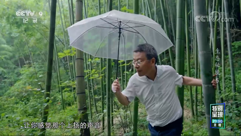 和漂亮老师做爰4
