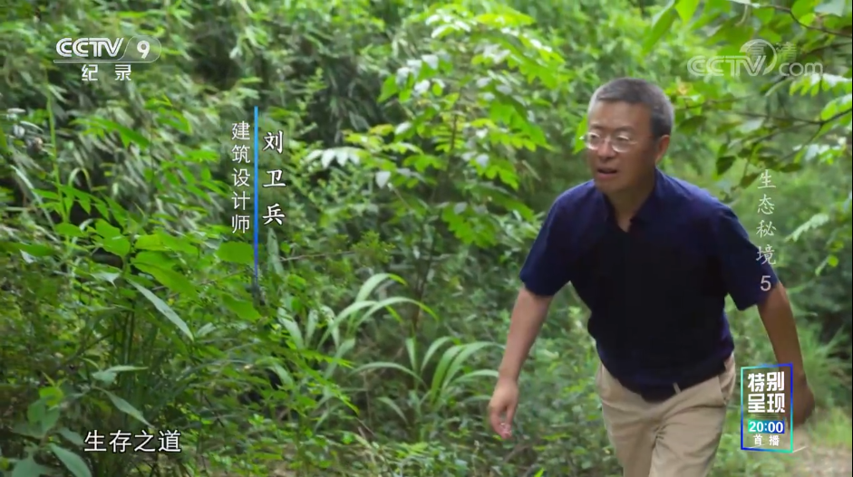 和漂亮老师做爰4