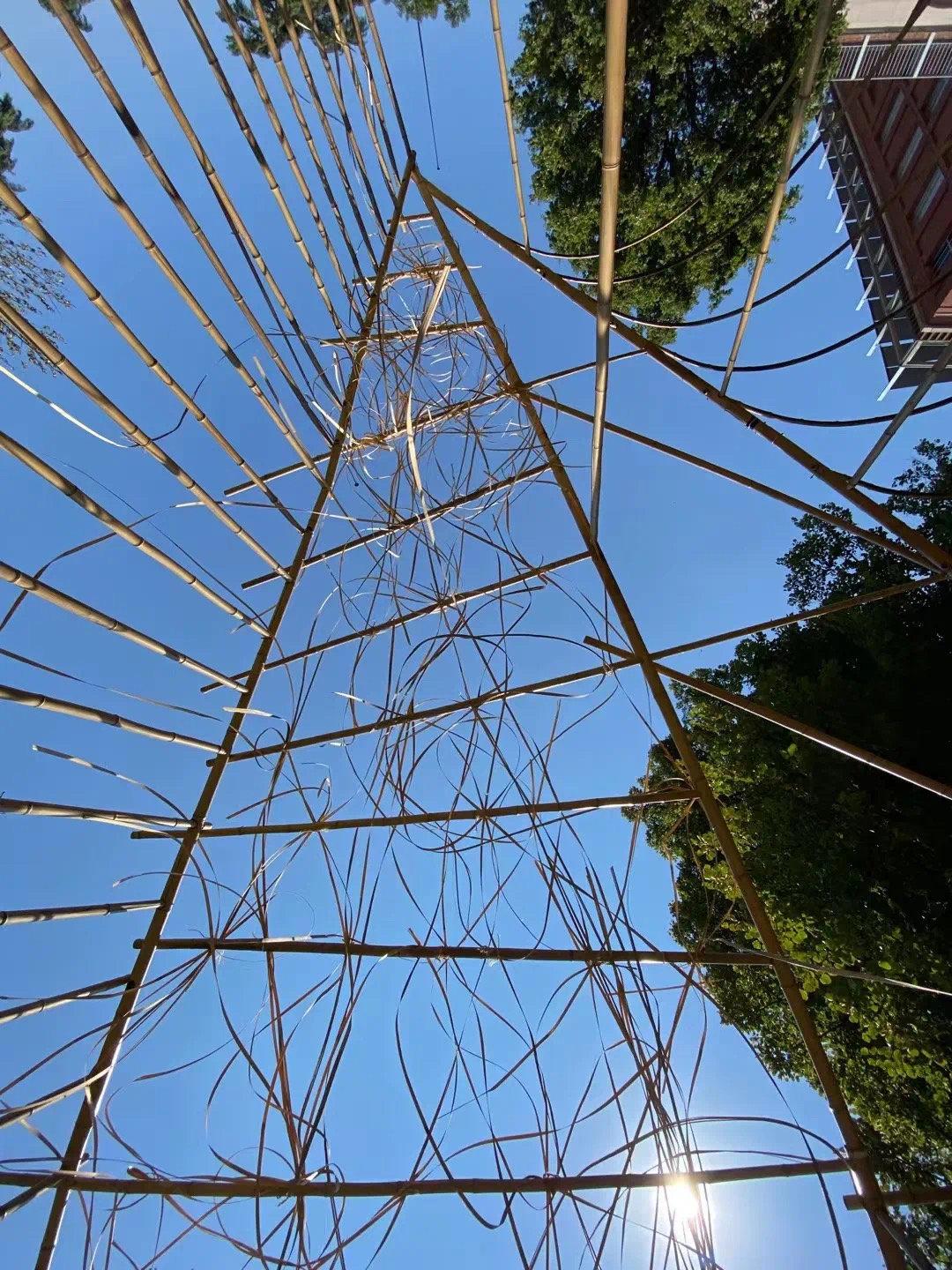 和漂亮老师做爰4