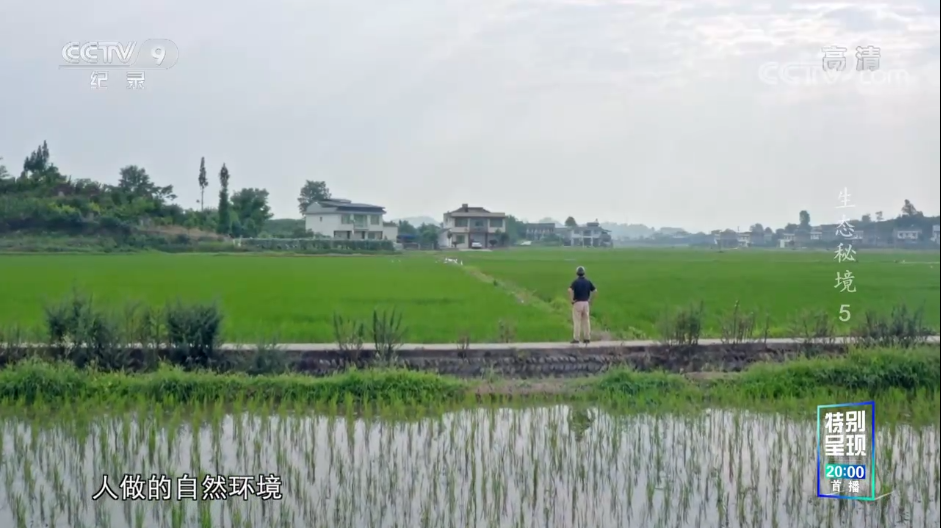 和漂亮老师做爰4